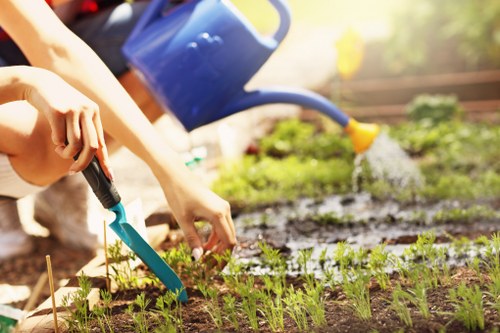 Garden design and build project planning for a Victoria residential outdoor space