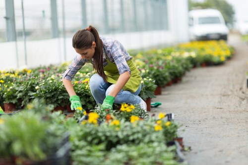 Professional landscaping team planning a Victoria outdoor garden design