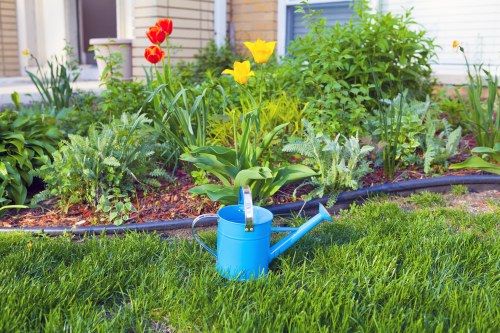 Contemporary garden layout ideas for homes in Victoria
