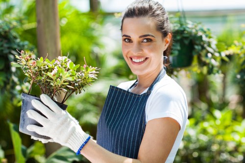 Accessible landscaping Victoria website content on a screen reader-friendly page