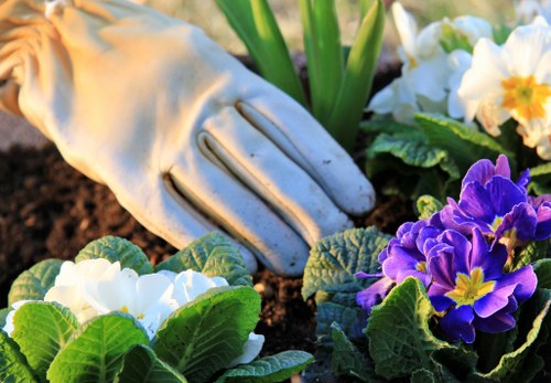 Sustainable Victorian garden with trees, mulch, and water-wise planting
