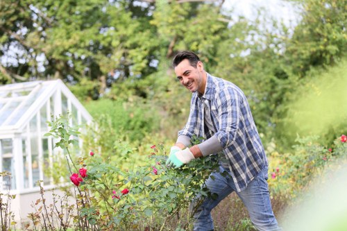 Front yard landscaping in Victoria with pathways and feature plants