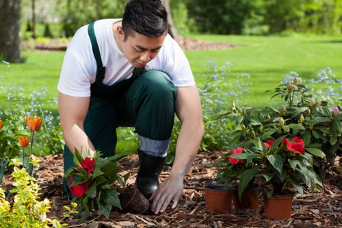 Residential turf laying for a home backyard in Victoria