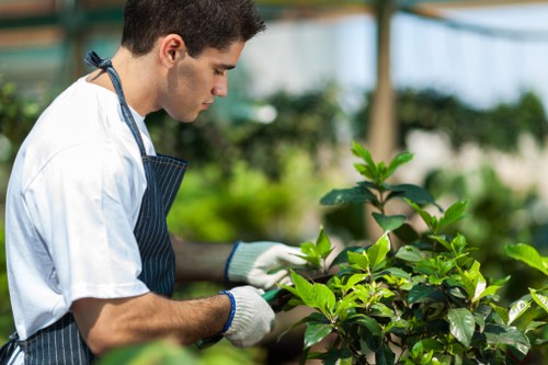 Final complaint outcome documented for landscaping services