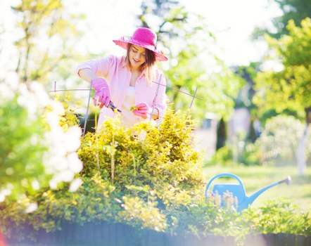 Professional soft landscaping work on a commercial property in Victoria
