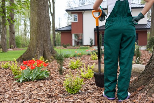 Commercial garden landscaping and frontage maintenance in Victoria