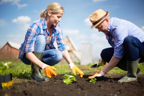 Low-carbon van transporting landscaping materials sustainably