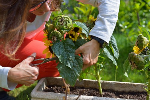 Ongoing accessibility commitment for Landscaping Victoria digital experience